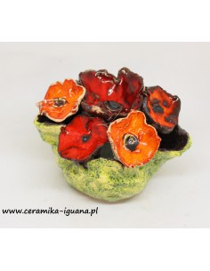 FLOWERBOX    KWIATY... 2